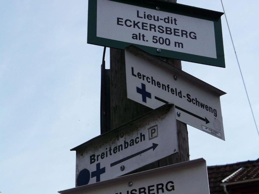 Gite Avec Piscine Chez Vero Breitenbach-Haut-Rhin Kültér fotó