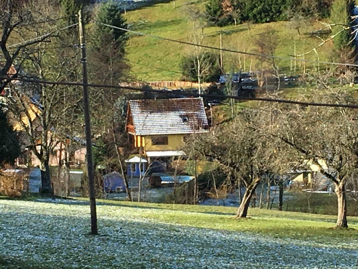 Gite Avec Piscine Chez Vero Breitenbach-Haut-Rhin Kültér fotó