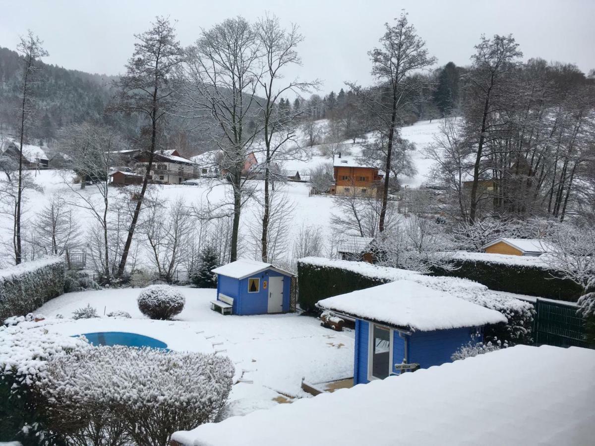 Gite Avec Piscine Chez Vero Breitenbach-Haut-Rhin Kültér fotó